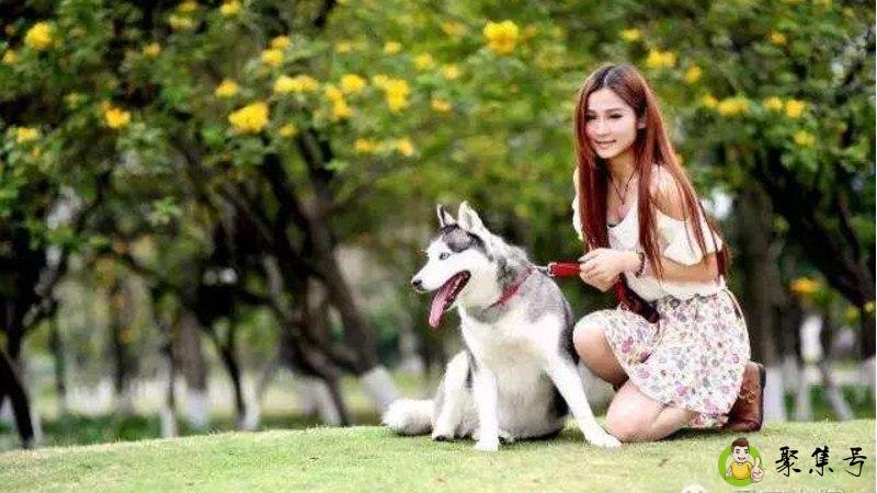 养狗的女孩性格分析