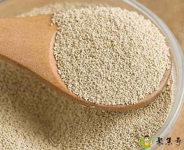 高活性干酵母比例用法