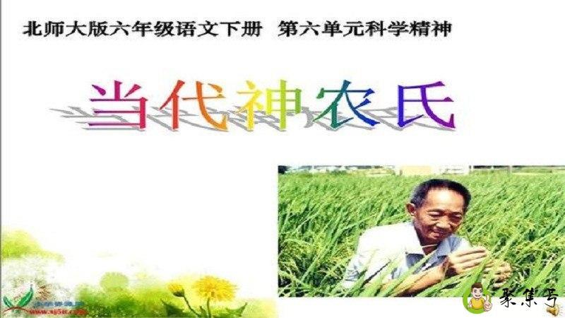 什么是当代神农氏