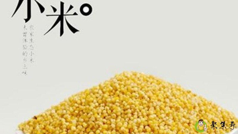 小米泡多久合适