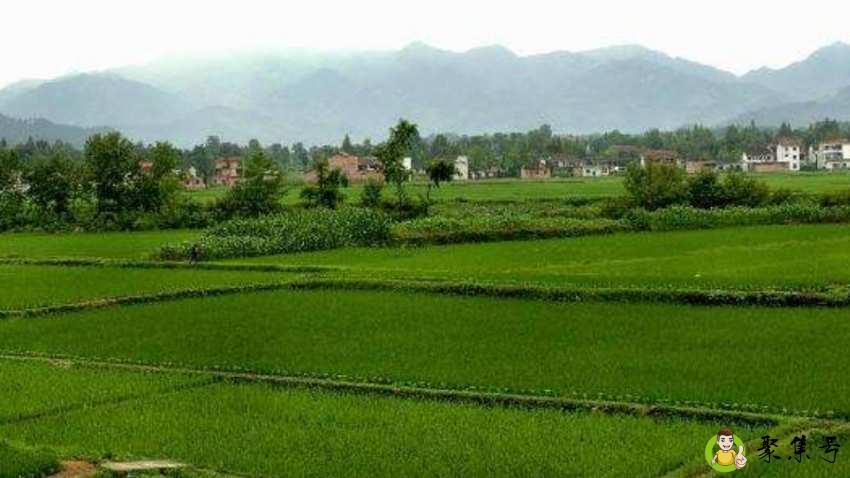 一亩等于多少平方米