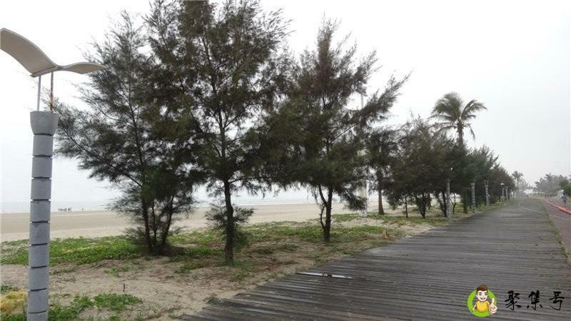 阴凉土地是什么意思