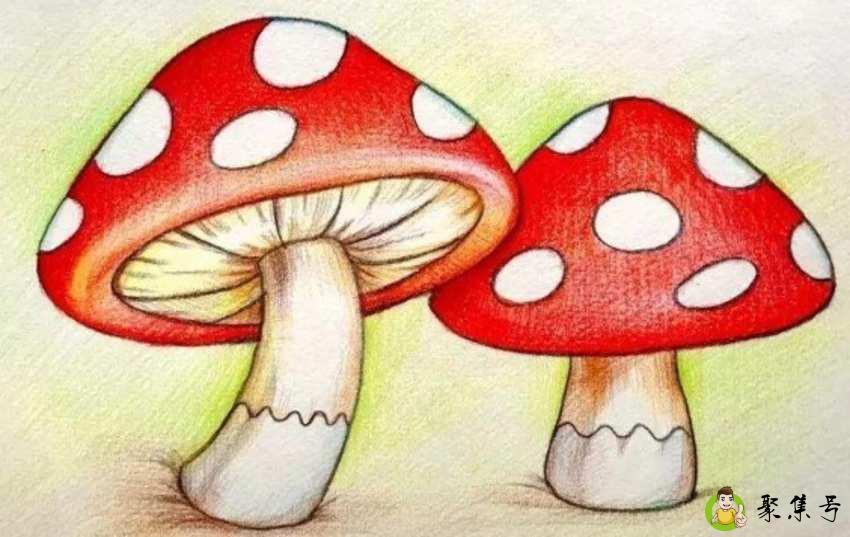 极善间是什么意思