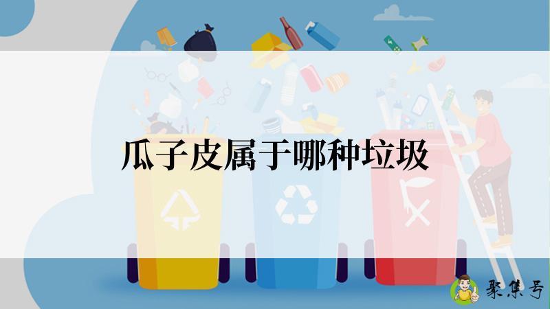 瓜子皮属于哪种垃圾