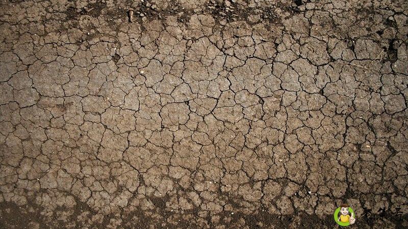 10斤土拌多少多菌灵