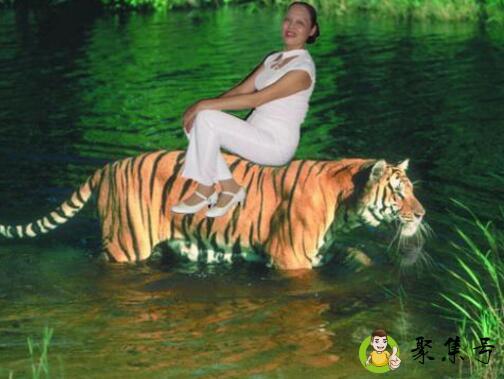 奇虎难下是什么意思