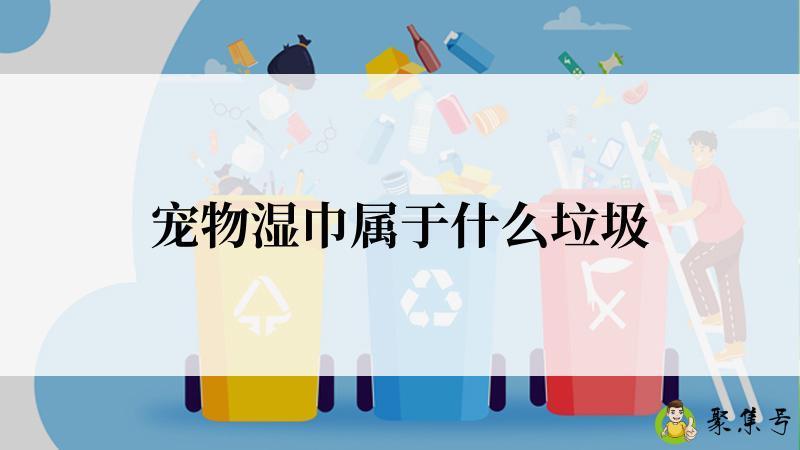 宠物湿巾属于什么垃圾