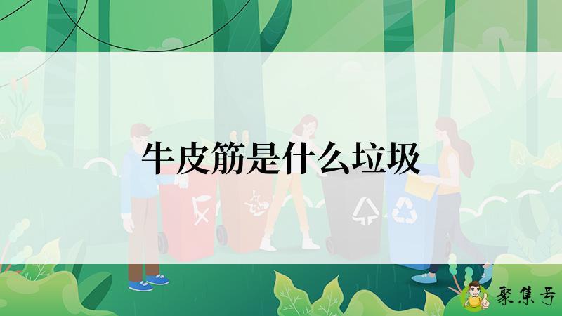 牛皮筋是什么垃圾
