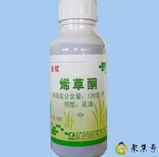 烯草酮与精喹禾灵区别