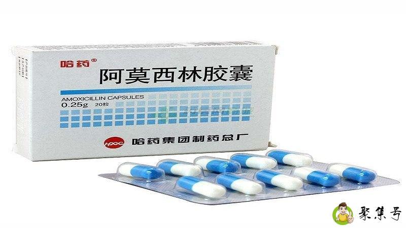 阿莫西林可以浇花吗