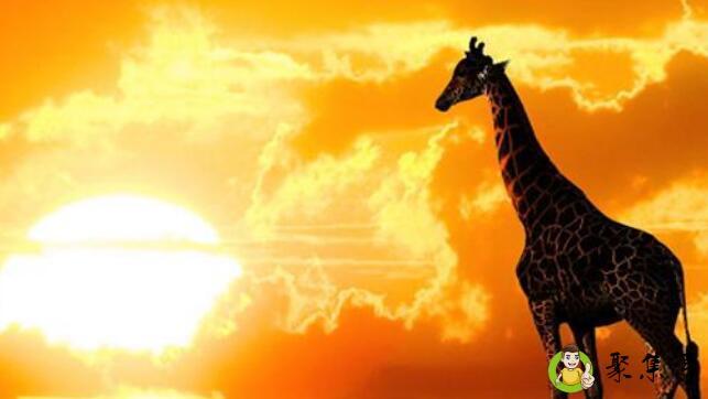 个人理想和社会理想的关系是