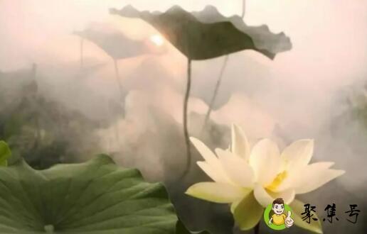 不经世事永天真上一句