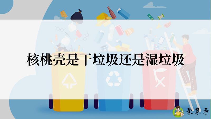 核桃壳是干垃圾还是湿垃圾