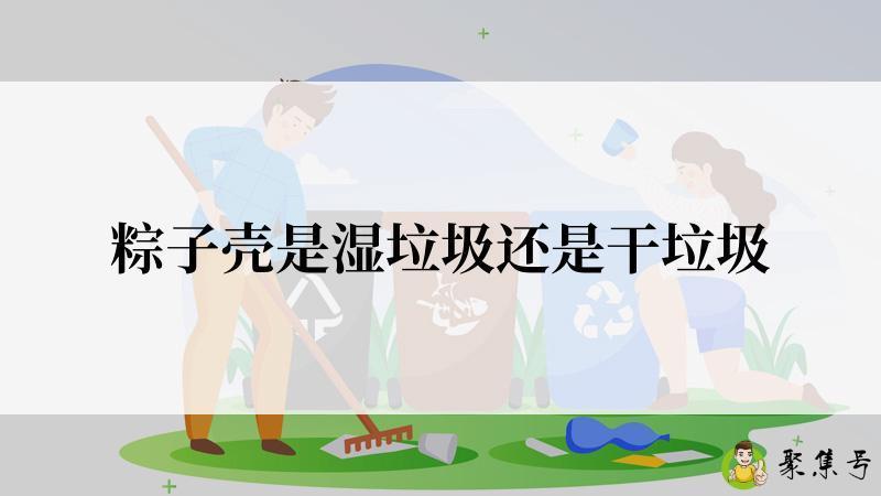 粽子壳是湿垃圾还是干垃圾