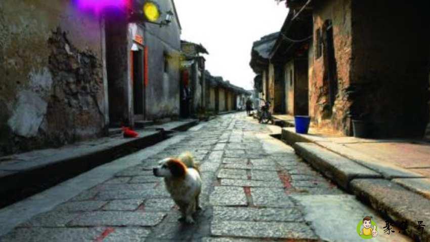 下次你路过人间已无我什么意思