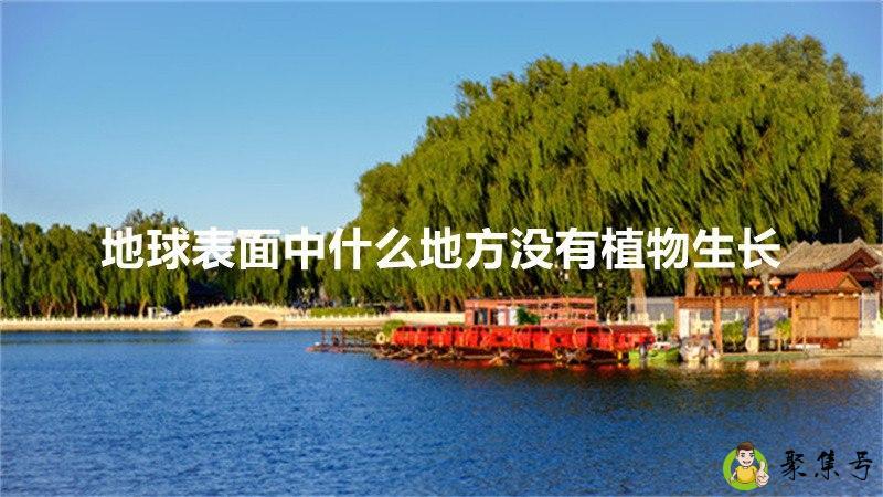 地球表面中什么地方没有植物生长