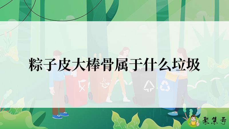 粽子皮大棒骨属于什么垃圾