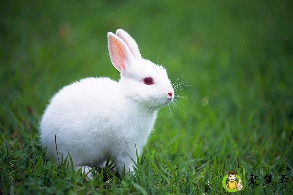 xb是什么意思贴吧