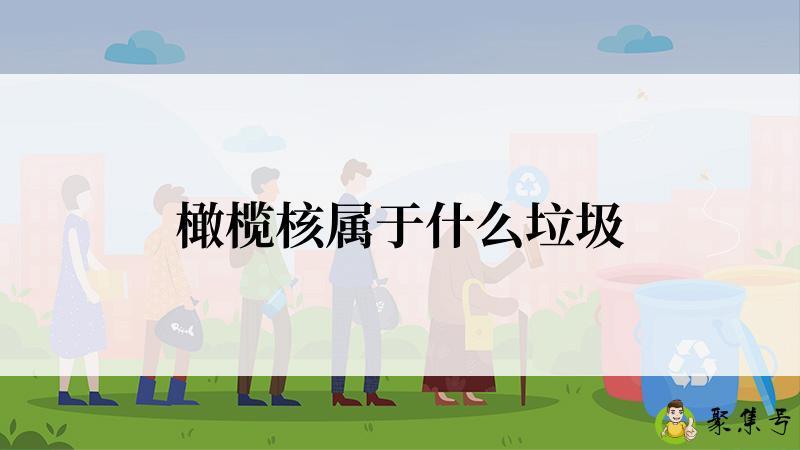 橄榄核属于什么垃圾