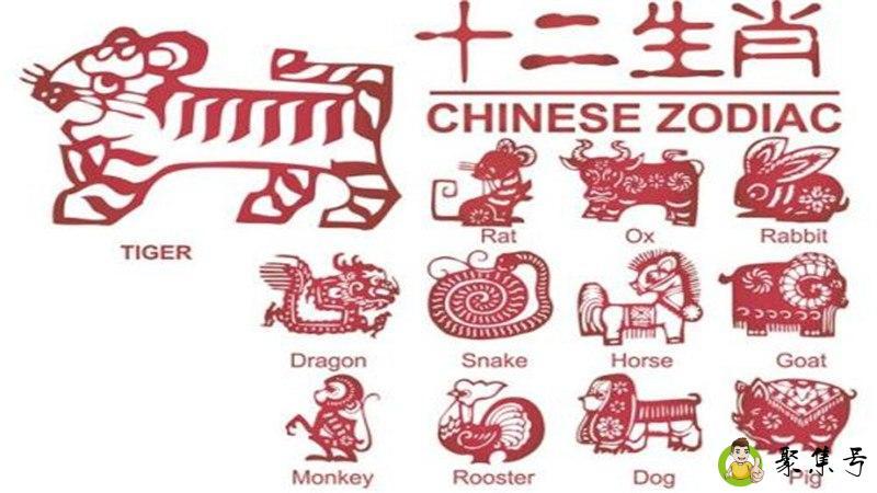 指东指西来开码是什么生肖