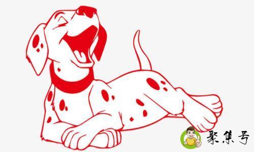 肉包代表什么生肖