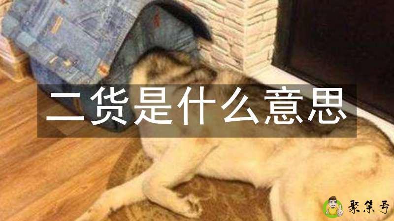 二货是什么意思