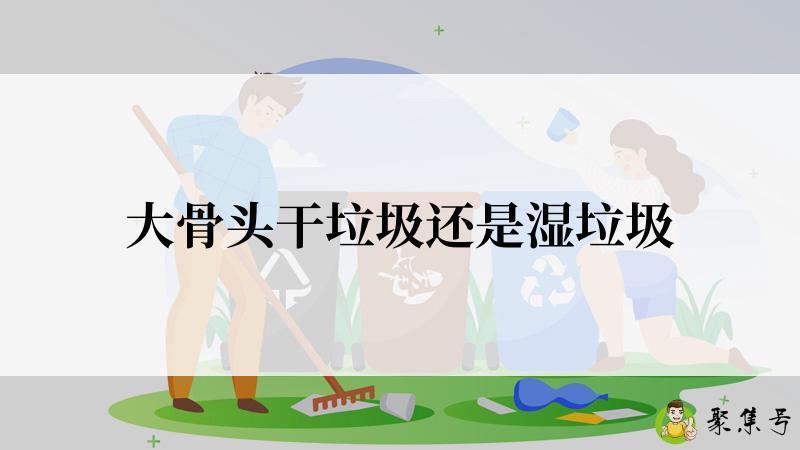 大骨头干垃圾还是湿垃圾