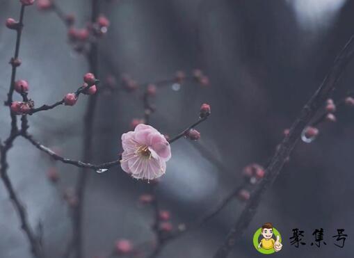 愿得偿欣欢,怀冬雪春笙什么意思