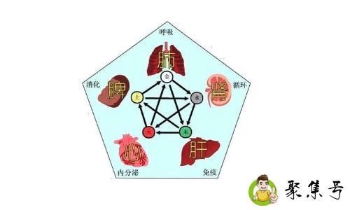 五味与五脏的关系是什么
