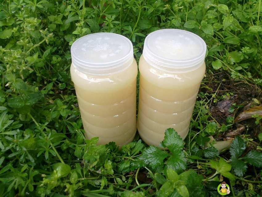 油菜蜜属于几等蜜