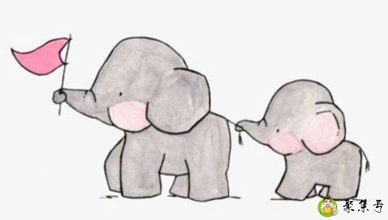 小象代表什么生肖