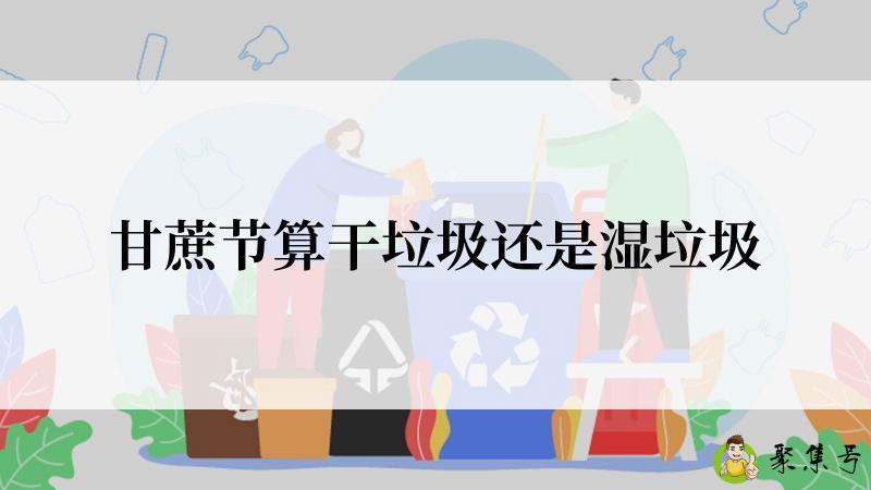 甘蔗节算干垃圾还是湿垃圾