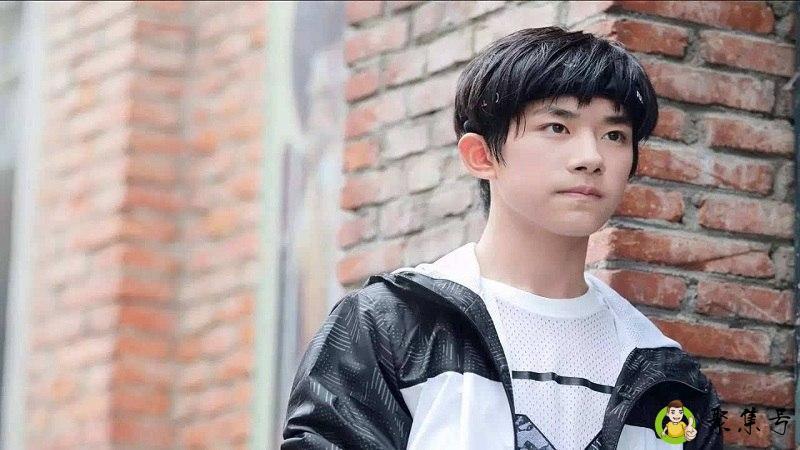 饭圈zs粉是什么