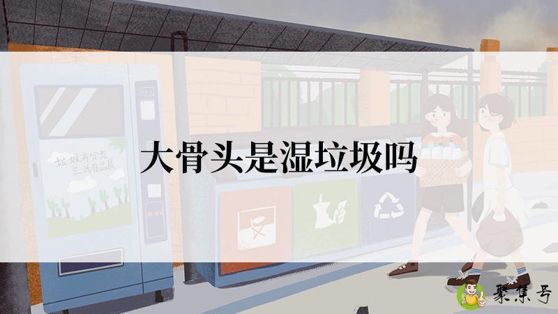 大骨头是湿垃圾吗