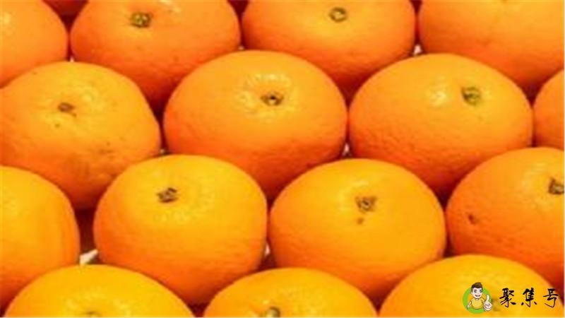 女神给橙子是什么梗