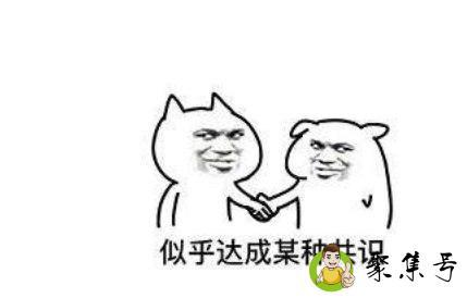 ts什么意思网络用语