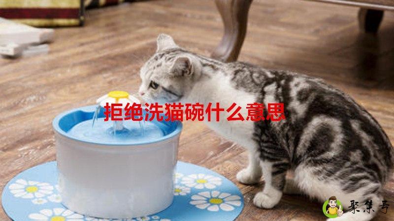 拒绝洗猫碗什么意思