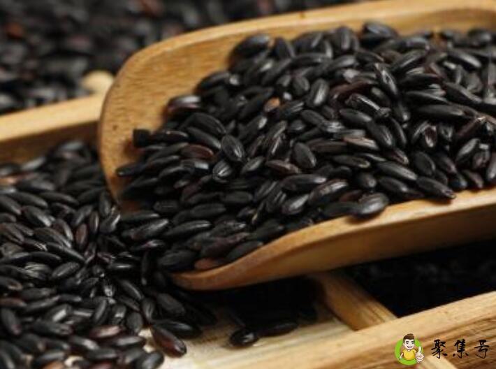黑米与黑糯米的区别