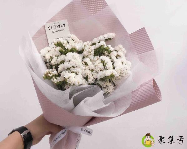 白色勿忘我的花语