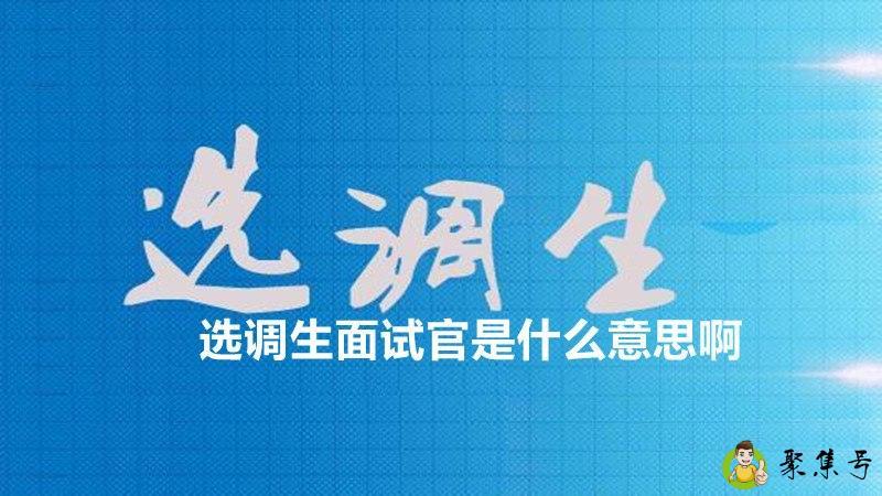 选调生面试官是什么意思啊