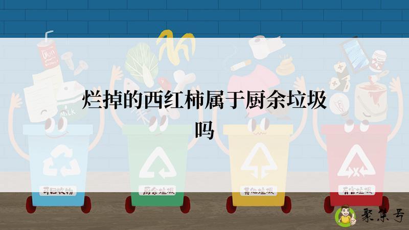 烂掉的西红柿属于厨余垃圾吗