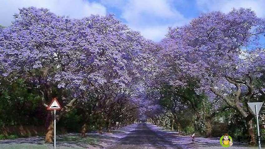 很带感什么意思