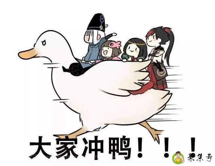 网上说冲是什么意思