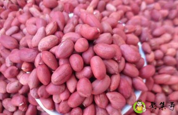 红皮花生泡水会褪色吗