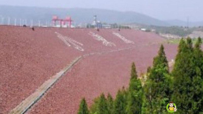 小浪底调水调沙时间