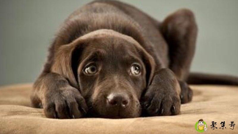 Afraid是什么意思