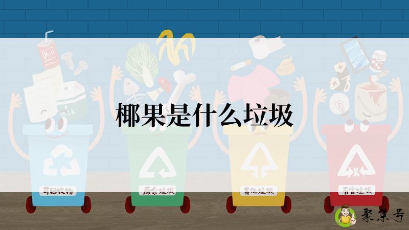 椰果是什么垃圾