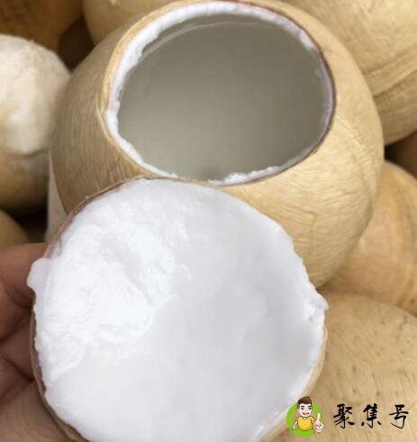 牛奶椰子和普通椰子区别