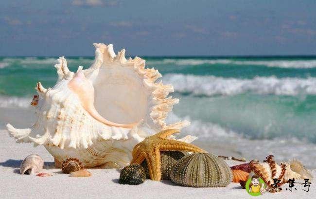 海螺开水还是冷水下锅