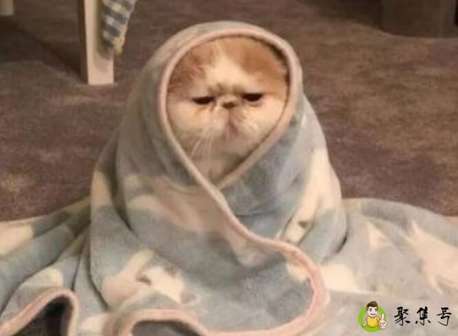 奇奇怪怪可可爱爱是什么意思